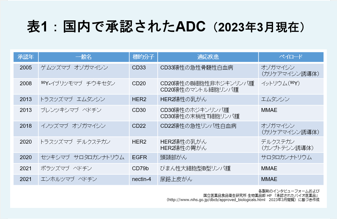 複合体B錠リーフレット